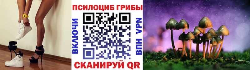 Псилоцибиновые грибы Psilocybe blacksprut онион Липки купить